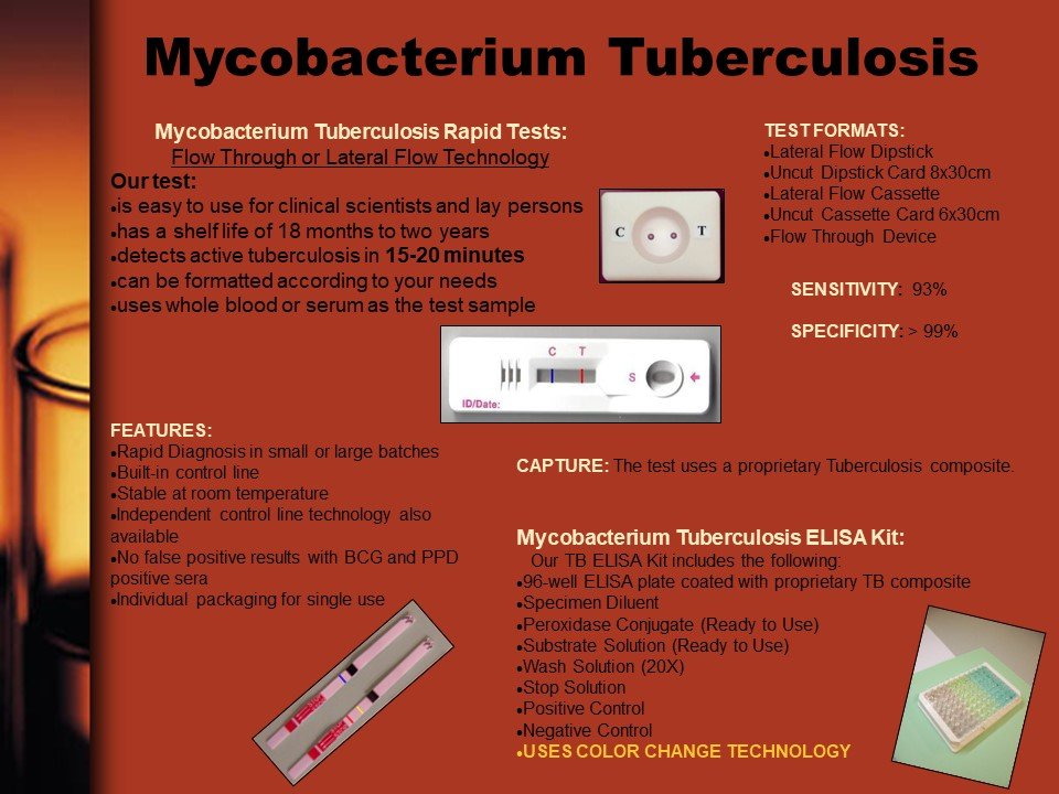 mycobacterium
